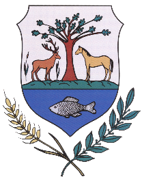 cimer 1